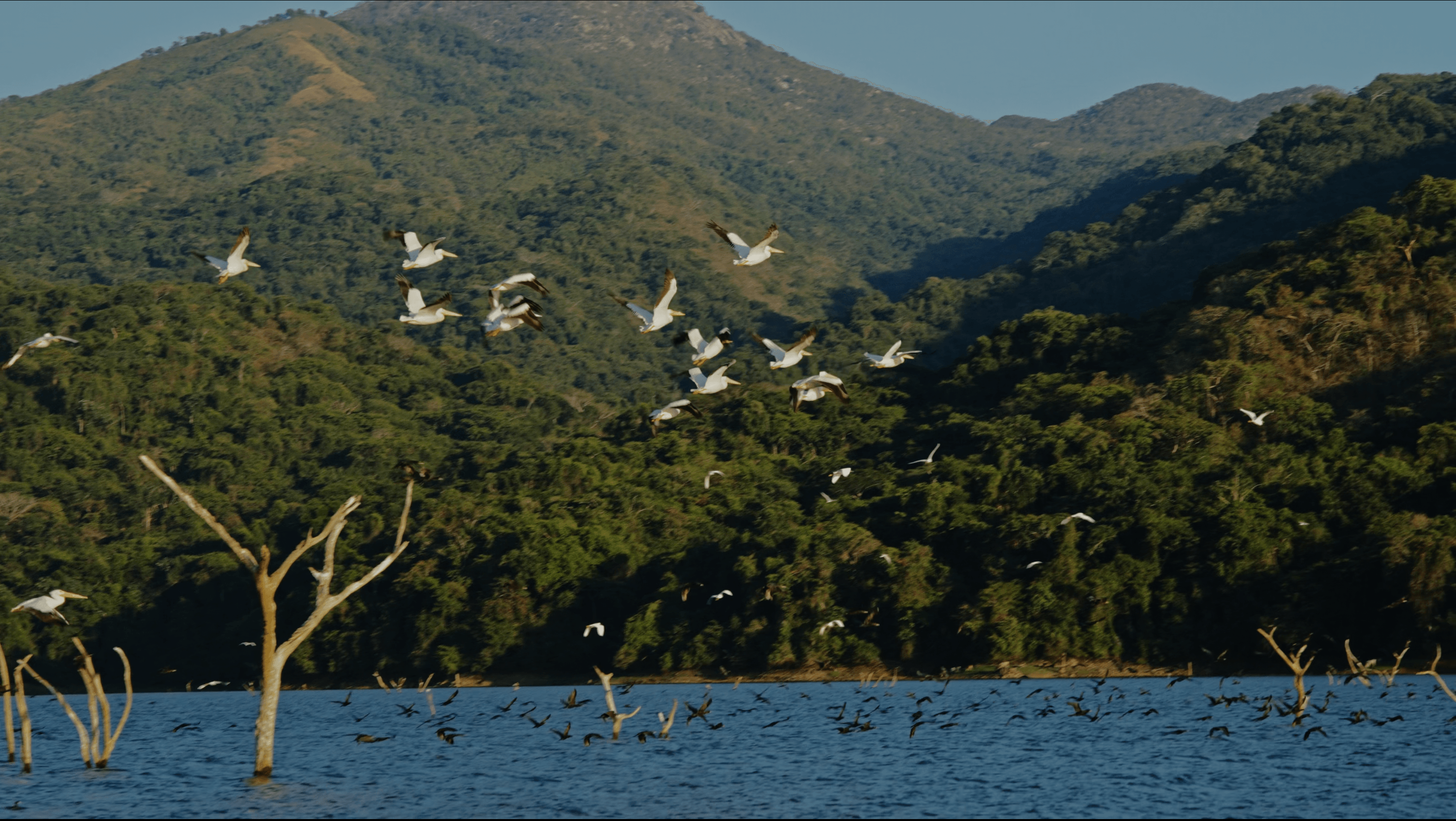 Residence architecture harmonized with natural light and landscape