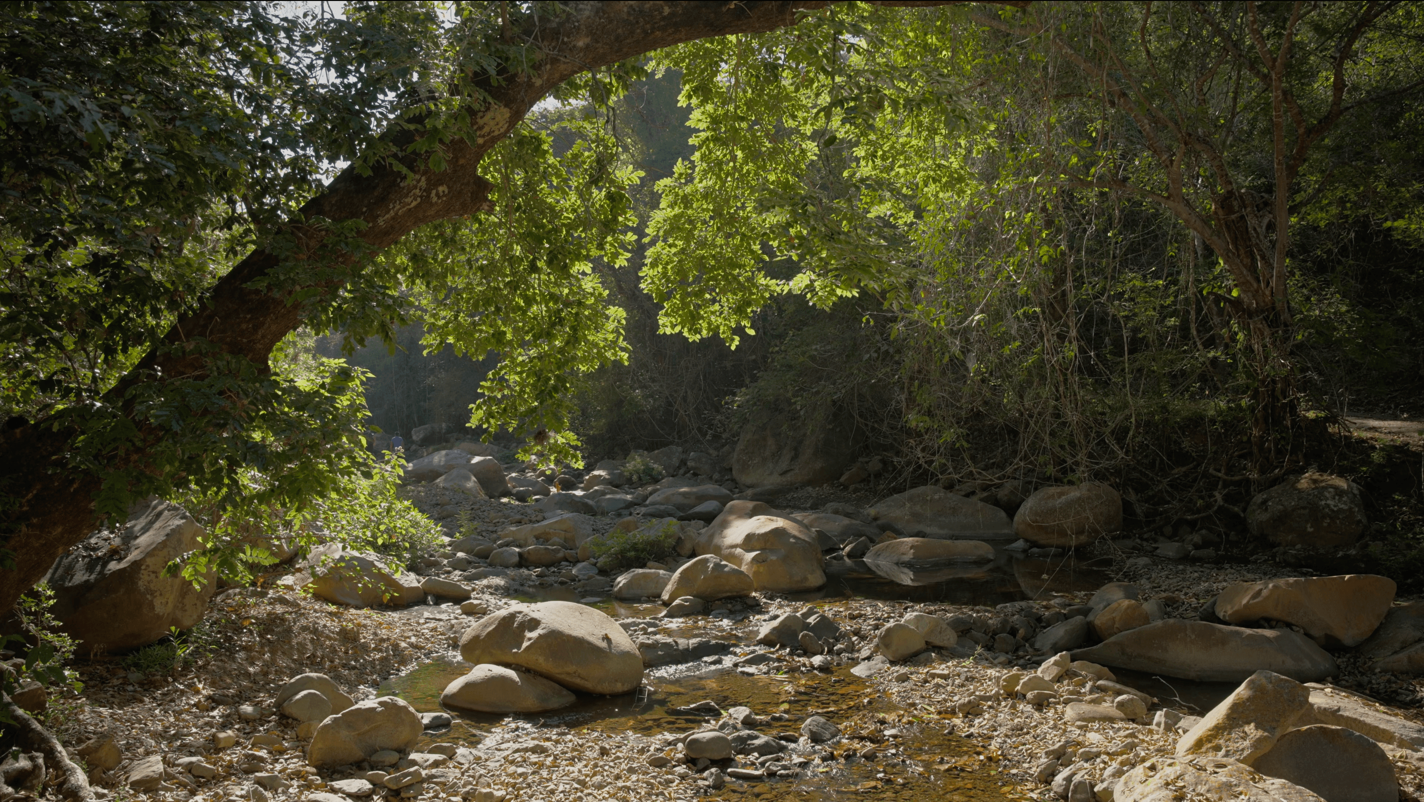 Atlan Reserve protected coastline