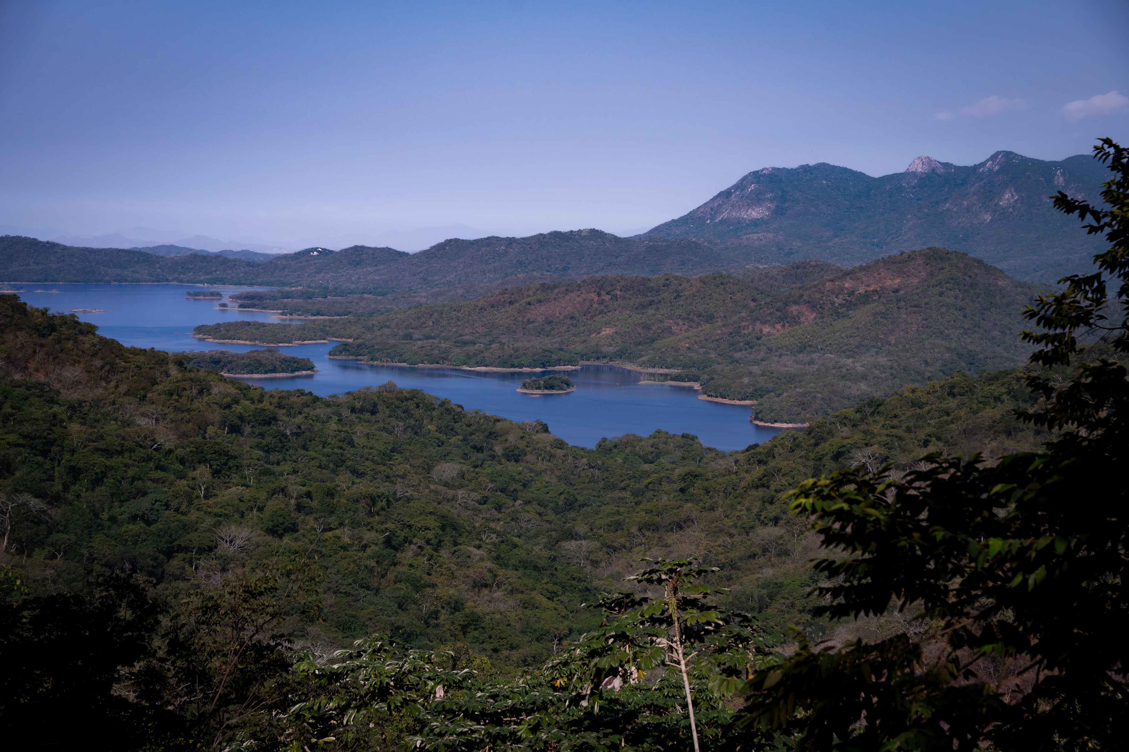 Atlan Reserve forest and water landscape