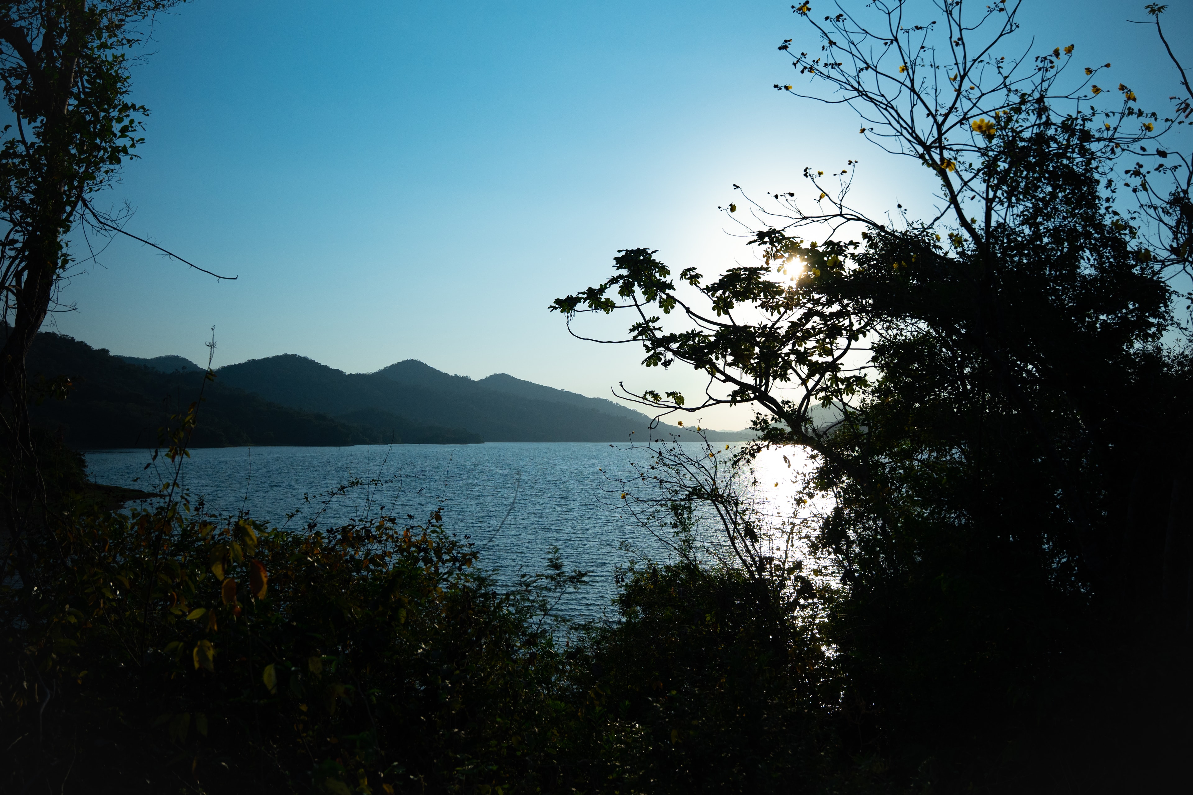Atlan Reserve residences landscape