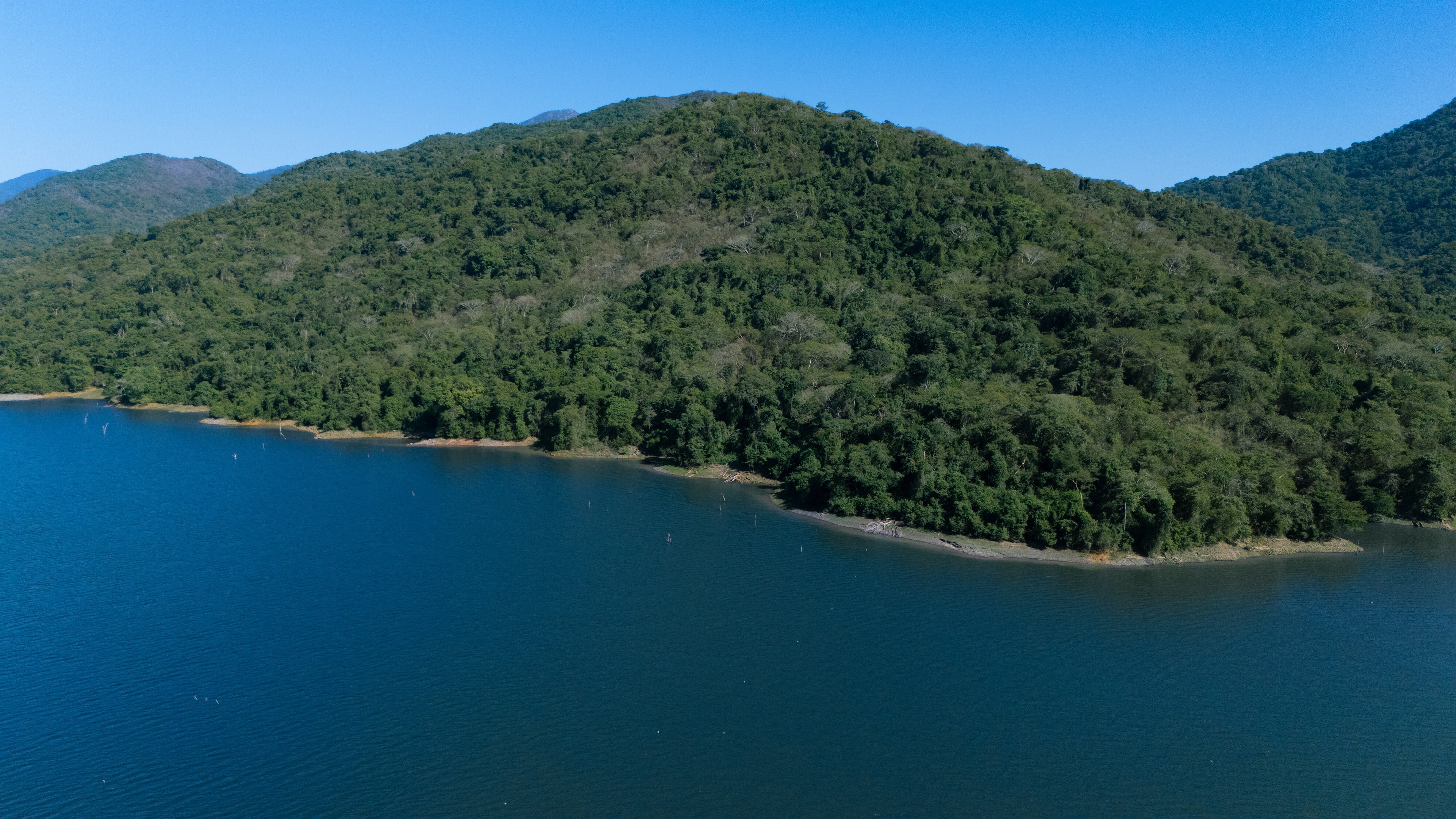 Atlan Reserve residences landscape